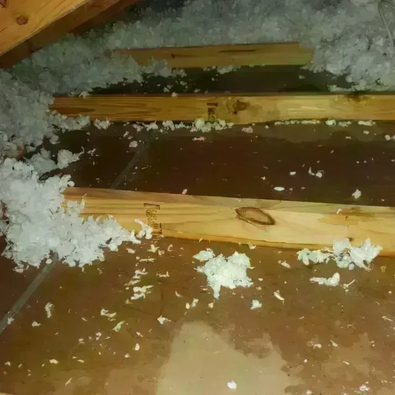 Attic Water Damage in Troy, NY