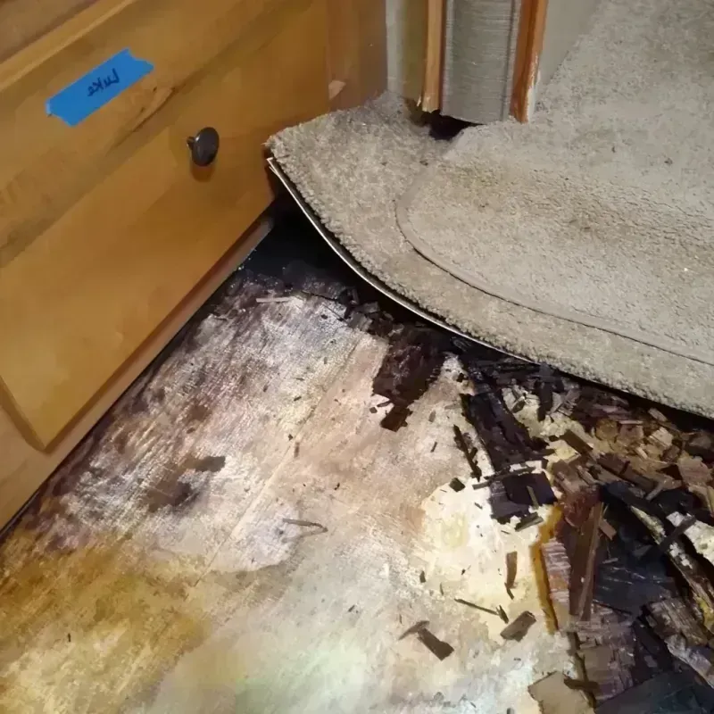 Best Wood Floor Water Damage Service in Troy, NY